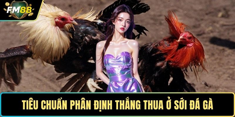 Tiêu chuẩn phân định thắng thua ở sới đá gà