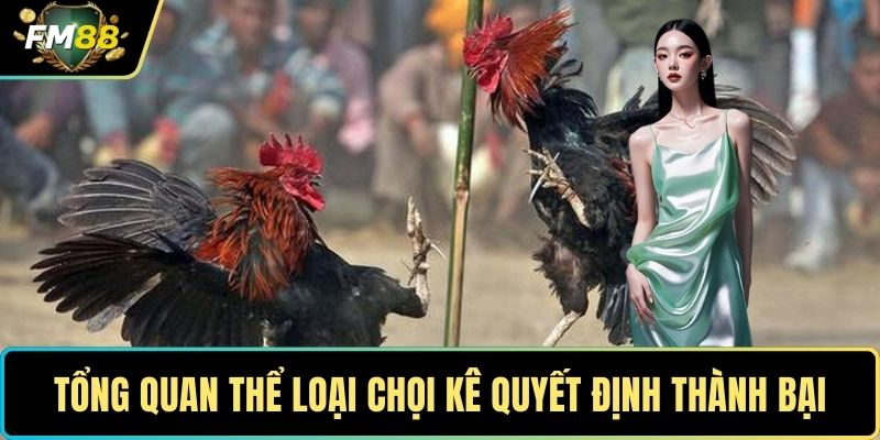 Tổng quan thể loại chọi kê quyết định thành bại